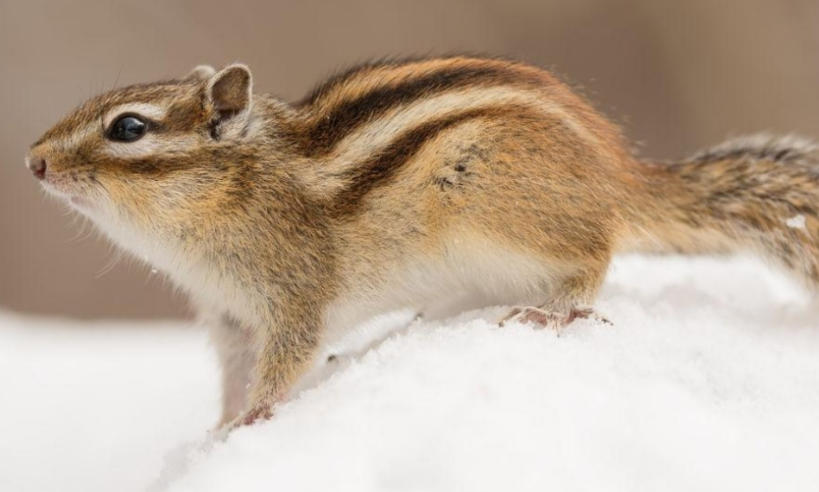 天津钟表精宇技术有限责任公司轮播图4